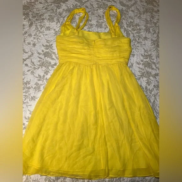 Banana Republic Silk Chiffon Babydoll Party Mini Dress Empire Waist, size 12 - Picture 12 of 16